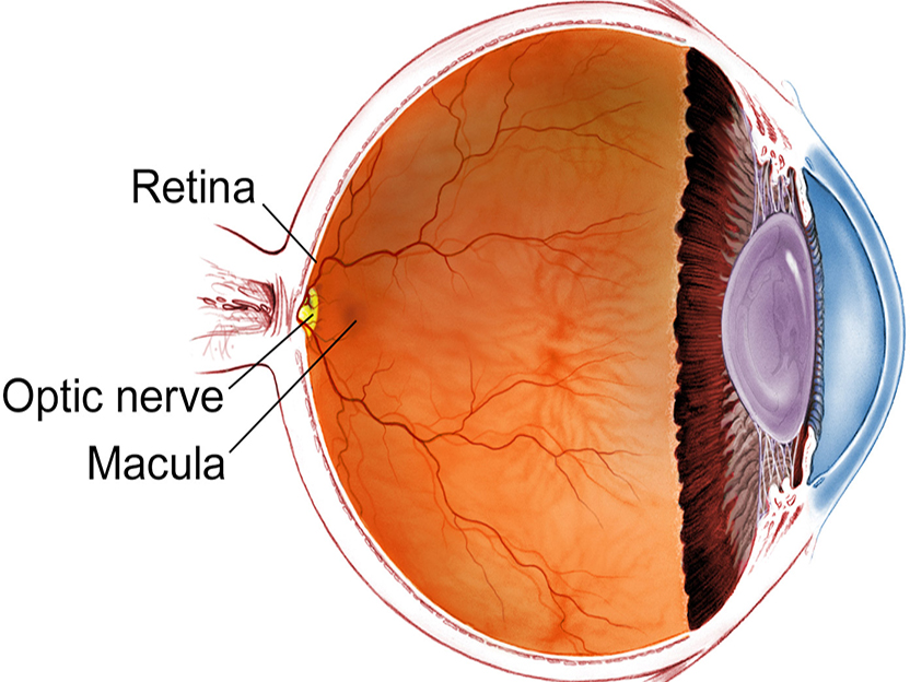 Retina Clinic